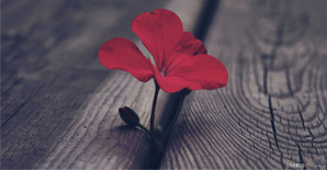 这一生，谢谢自己