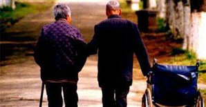 收发室工作员虐猫 一猫不容何以容天下？