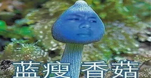 蓝瘦，香菇，工程人的心酸谁知道......