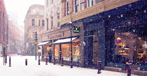 大熊猫雪地打滚 快让我在雪地里撒点儿野！