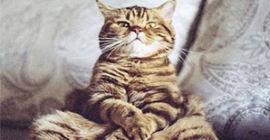 贼萌！2016工程人员表情包来袭！