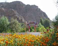 <font color="red">七仙山玫瑰园加固工程</font>