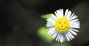 工程人，这样的“哥们儿”不可交