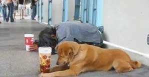 信不？工程人的日常就是一部行走的表情包......