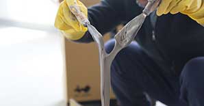 结构胶能干什么用？