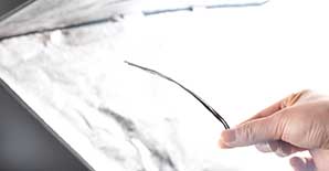 碳布穿越千年邂逅了谁？