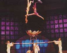 上海马戏学校<font color="red">修缮工程</font>