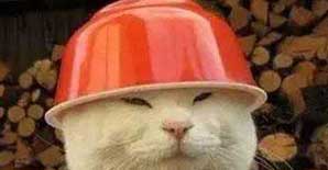 太逼真了！工程狗的九个人生阶段！