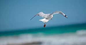 加固人，“五不”送给你！