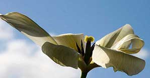 差不多就行了？