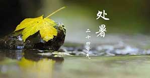 处暑已过，酷夏再见！