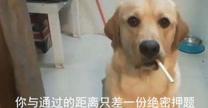 考前冲刺!一建绝密押题已出,一次考过的机会就靠它了 考前冲刺!一建绝密押题已出,一次考过的机会就靠它了