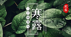 节气 | 寒露 节气 | 寒露