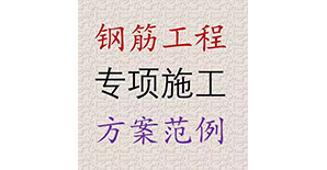 双十一大礼包|我整理了80份钢筋工程专项施工方案范例，快来拿走！