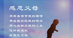 感恩节|感恩有你，一路相伴