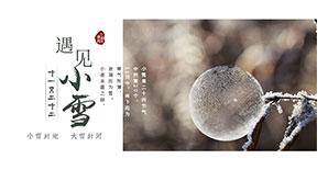 小雪|新雪初霁，享冬日暖阳