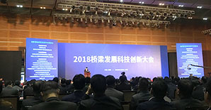 悍马携新技术惊艳改革开放40年桥梁创新展-悍马加固技术